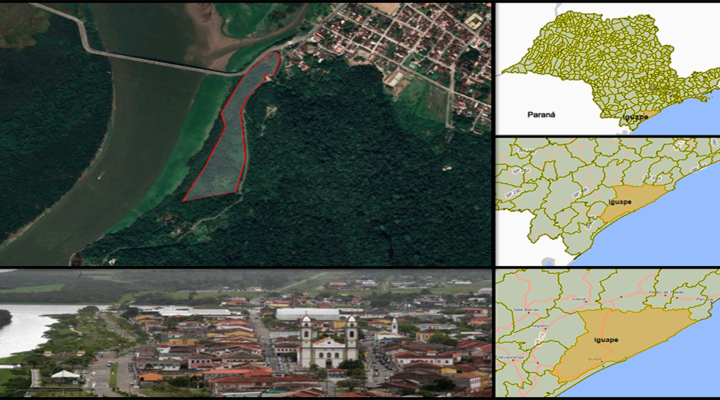 Iguape Icapara - Greenfield - <small>Gleba Rural (área privada) </small> <i> - Iguape - BR 116 </i> floorplan 3